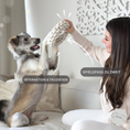 Load image into Gallery viewer, Doys Premium Hundespielzeug 3er Set
