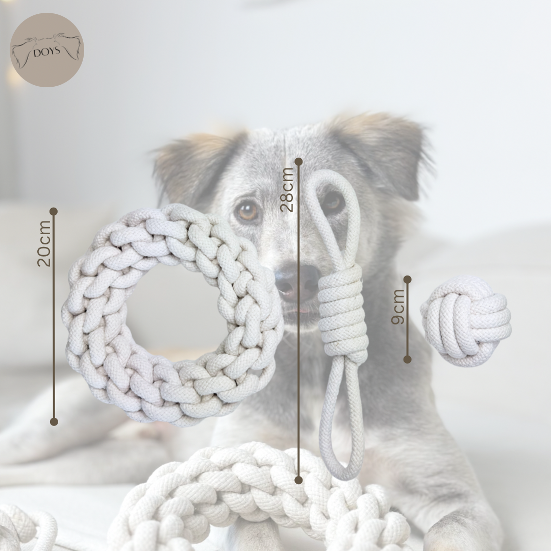 Doys Premium Hundespielzeug 3er Set