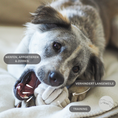 Load image into Gallery viewer, Doys Premium Hundespielzeug 3er Set
