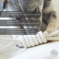 Load image into Gallery viewer, Doys Premium Hundespielzeug 3er Set
