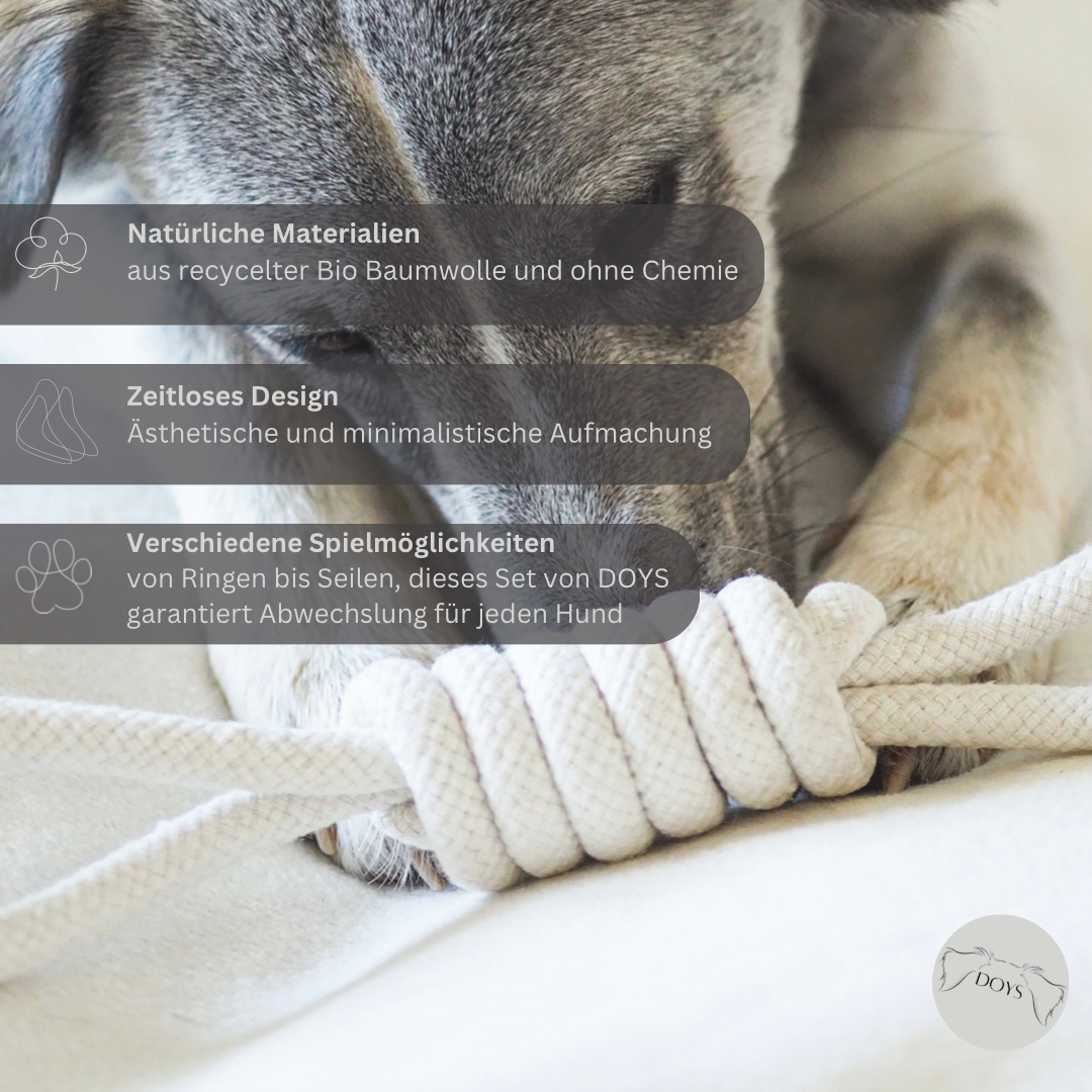 Doys Premium Hundespielzeug 3er Set